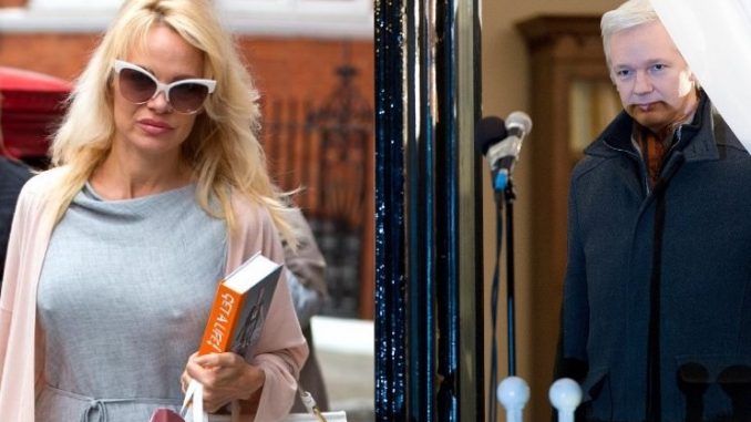 Rumors are swirling that former Baywatch star Pamela Anderson may be a secret Russian agent trying to bring down Julian Assange by becoming his girlfriend.