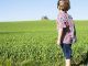 Study shows that pesticides leads to early puberty in children