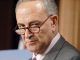 Chuck Schumer requests immediate shut down of voter fraud commission