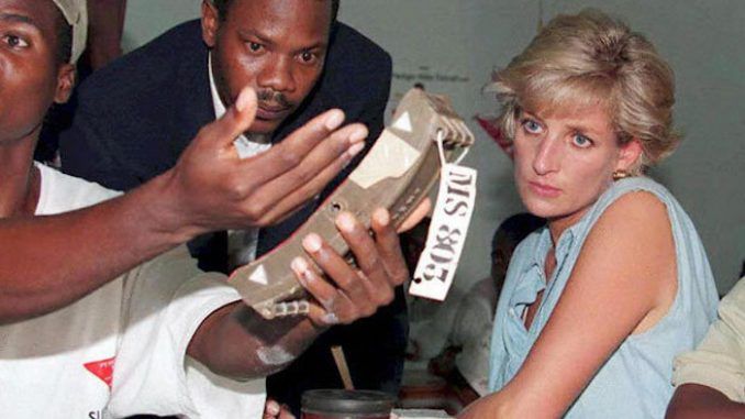 MI5 agents plotted to assassinate Princess Diana on an Angolan minefield just months before she died in Paris, claims an Angolan official.