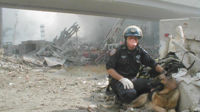 Security guard alleges that bomb sniffing dogs were removed from WTC complexes day before 911