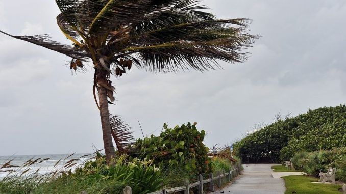 Miami mayor announces evacuation ahead of hurricane Irma