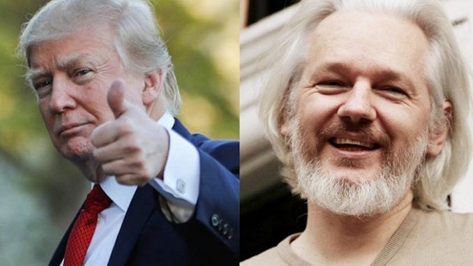 Trump considers pardoning Julian Assange