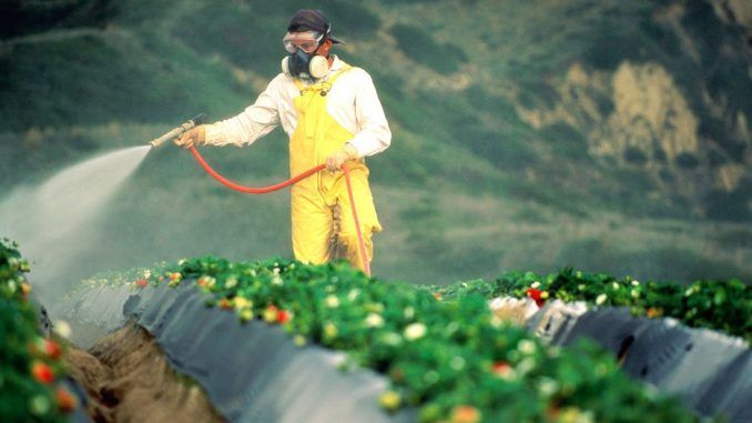 Millions of Californians have been poisoned by Monsanto herbicide 'Roundup'