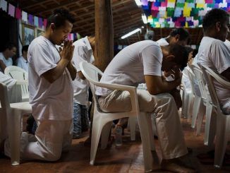 Brazil prisons to rehabilitate inmates using Ayahuasca