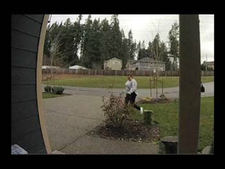 A Washington woman broke her leg while stealing UPS packages from a porch, and the case of instant karma was caught on camera.