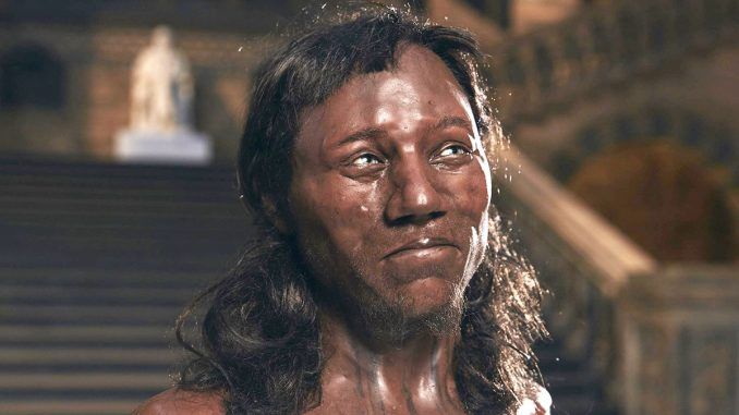 Scientists claim the dark-skinned Briton Cheddar man is a myth