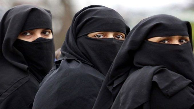 Denmark to ban Islamic veils