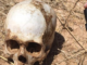Child's skull found at Tuscon child sex trafficking camp