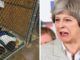 Theresa May described the policy of separating immigrant children from their families as “deeply disturbing” and “wrong”, even though her family is reaping huge profits from it.