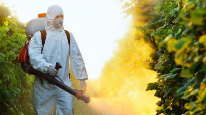 Finnish study concludes pesticides cause autism
