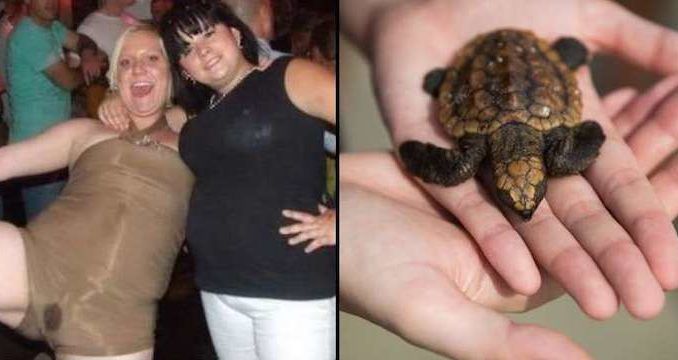 A 26-year-old British woman who had complained of pain in her abdomen was hospitalized in Spain after doctors found a turtle in her vaginal cavity. 