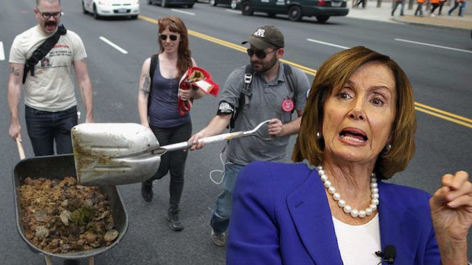 Nancy Pelosi's San Fransisco named poop capital of America