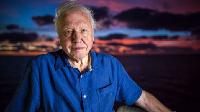 David Attenborough: Humankind Is About To Collapse David-attenborough-678x381