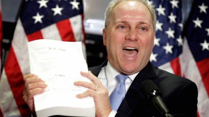 Rep Steve Scalise confirms Congress will fund Trump's border wall