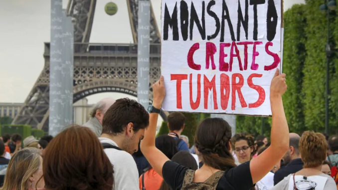 Court Bans Monsanto Weedkiller from France Because ‘It Causes Cancer’ Monsanto-france-678x381