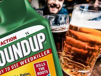 A new study reveals popular beer and wine brands in the U.S. are "loaded" with the toxic chemical glyphosphate from Monsanto's RoundUp.