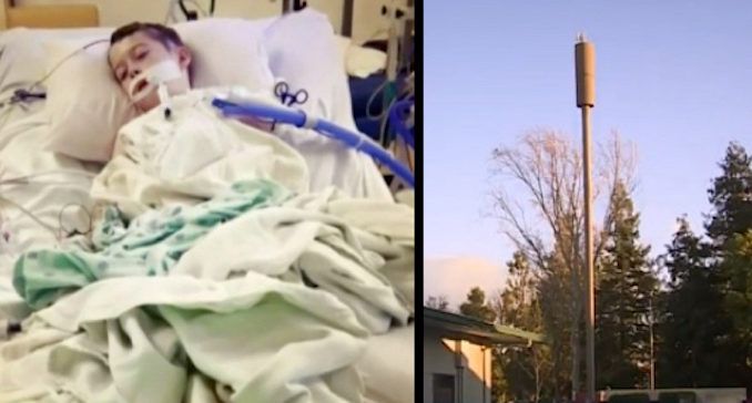 California school urged to remove cell tower after 4th student develops cancer