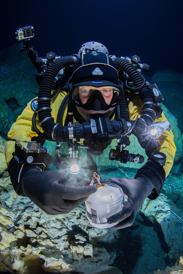 Ancient Animal & Human Bones Discovered In Underwater Graveyard In Mexico Ancient-bones