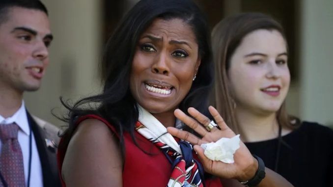 Omarosa Manigault Newman says President Trump is attempting to ignite a race warOmarosa Manigault Newman says Trump is attempting to ignite a race war