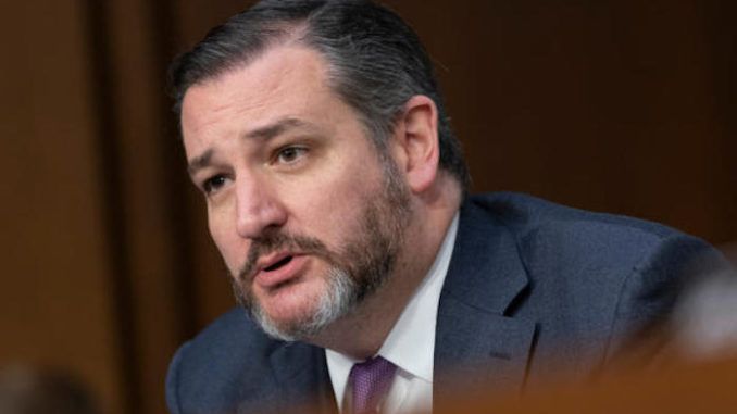 Universities and colleges are raising a generation of "pansies" who "think they have a right not to be offended", sad Sen. Ted Cruz.