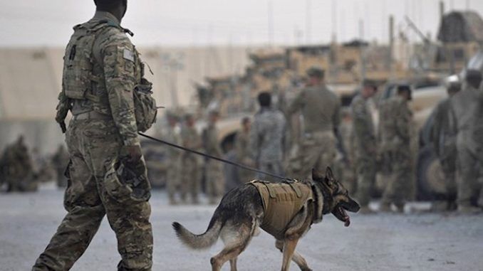 The military canine that was injured during the U.S. military operation that killed Islamic State (ISIS) leader Abu Bakr al-Baghdadi "is fine and has returned to duty," the U.S. government announced Monday.