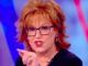The View co-host Joy Behar said Monday Democrats should wait until they are elected before announcing plans to ban guns.