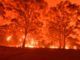 Australian authorities blame arsonists for bushfires, not climate change