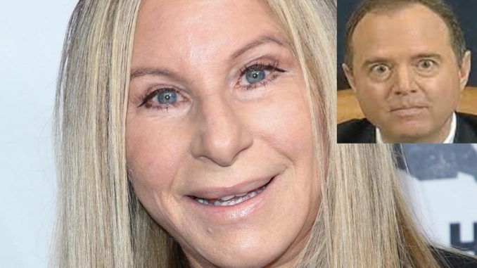 Barbra Streisand endorses Adam Schiff for President