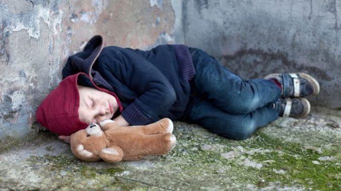 An investigation is underway in Berlin's City Hall to find out why authorities placed homeless and troubled children with known pedophile foster parents.