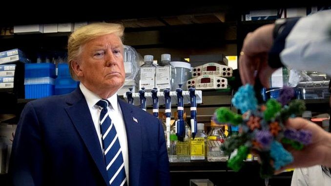 Tech chief resigns after wishing Trump catches Coronavirus
