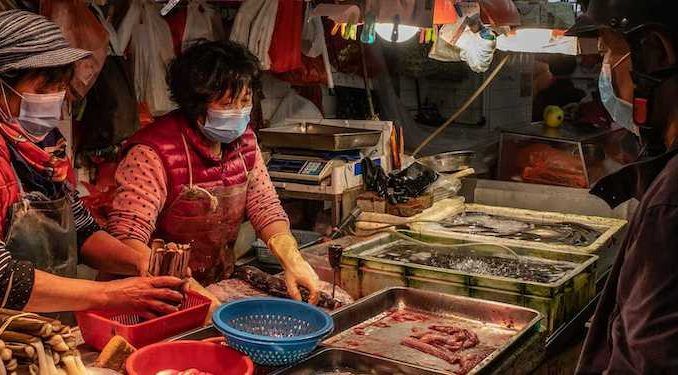 Bloomberg publishes article heaping praise on China's wet markets