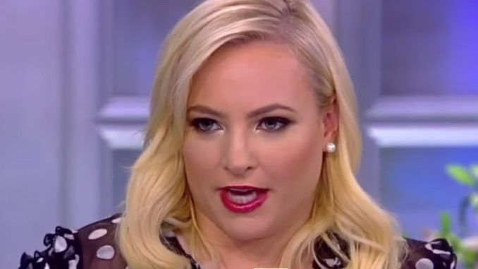 Meghan McCain boasts that the rising unemployment due to coronavirus means Biden stands to benefit