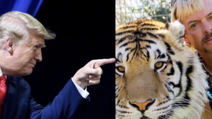 President Donald Trump has vowed to look at pardoning Joe Exotic, the star of the hit Netflix series 'Tiger King' who is serving 22 years behind bars in a federal prison for a murder-for-hire plot.