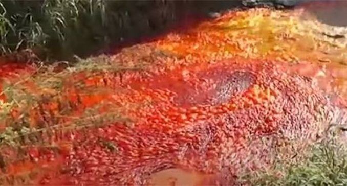 A river in Israel has become the latest waterway to turn red "like the Bible's plague of blood in Egypt", shocking local observers, scientists and Biblical scholars.