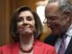 Nancy Pelosi floats no presidential debates because Trump isn't committed to the constitution