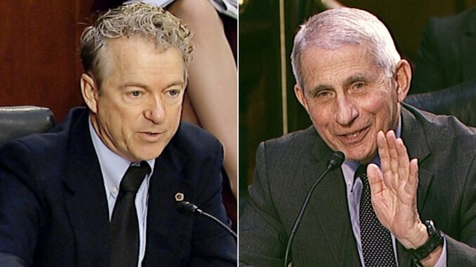 Rand Paul and Dr Fauci