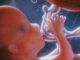 European parliament declares abortion a human right