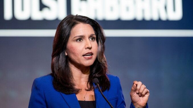 Tulsi Gabbard warns the American people are sick and tired of the globalist elites