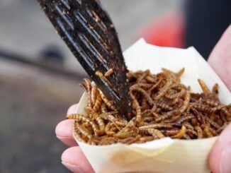 UK school kids will be forced to eat bugs as part of the Great Reset agenda