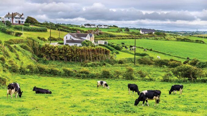 Ireland farm