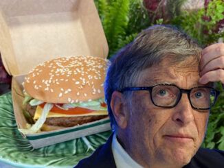 Bill Gates left reeling after McDonald's ditches fake meat