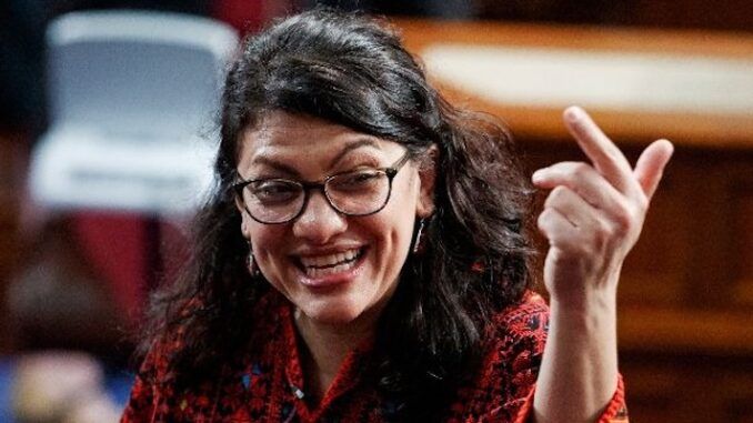 Rashida Tlaib slams parents speaking out at school board meetings as white supremacists