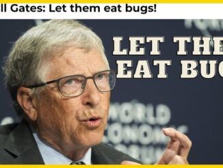 Let them eat bugs