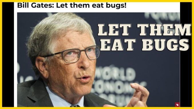 Let them eat bugs