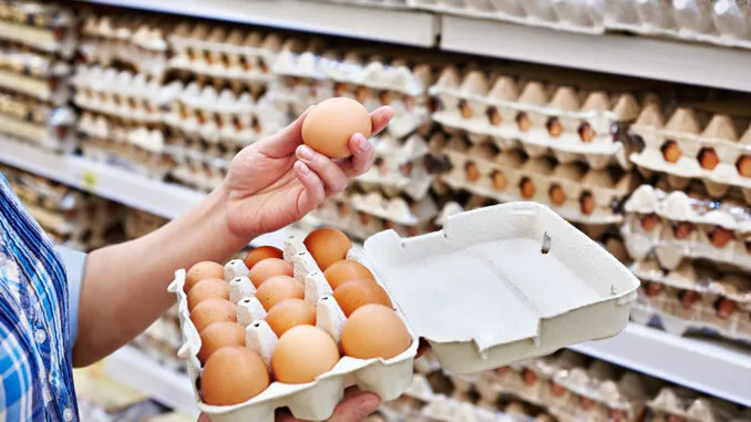 Πυρκαγιά καταστρέφει φάρμα αυγών που ανήκει σε κορυφαίο προμηθευτή των ΗΠΑ…εν μέσω εθνικής έλλειψης αυγών!!! Κτηνοτρόφοι κοτόπουλων καταγγέλλουν…μολυσμένες ζωοτροφές!!!