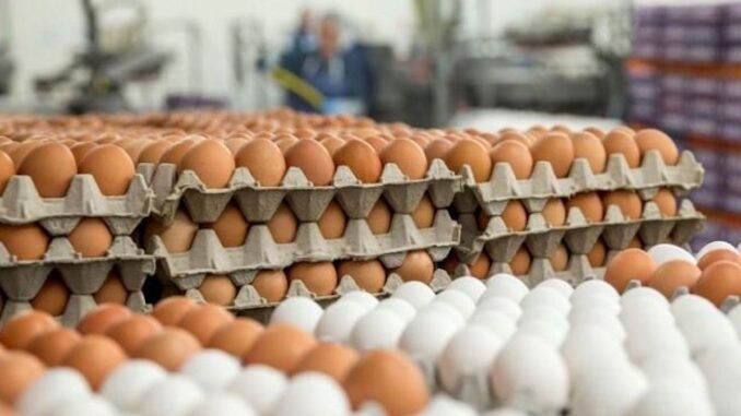 Scientists warn eggs are causing blood clots