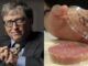 Study finds Bill Gates' lab grown meat causes cancer in humans