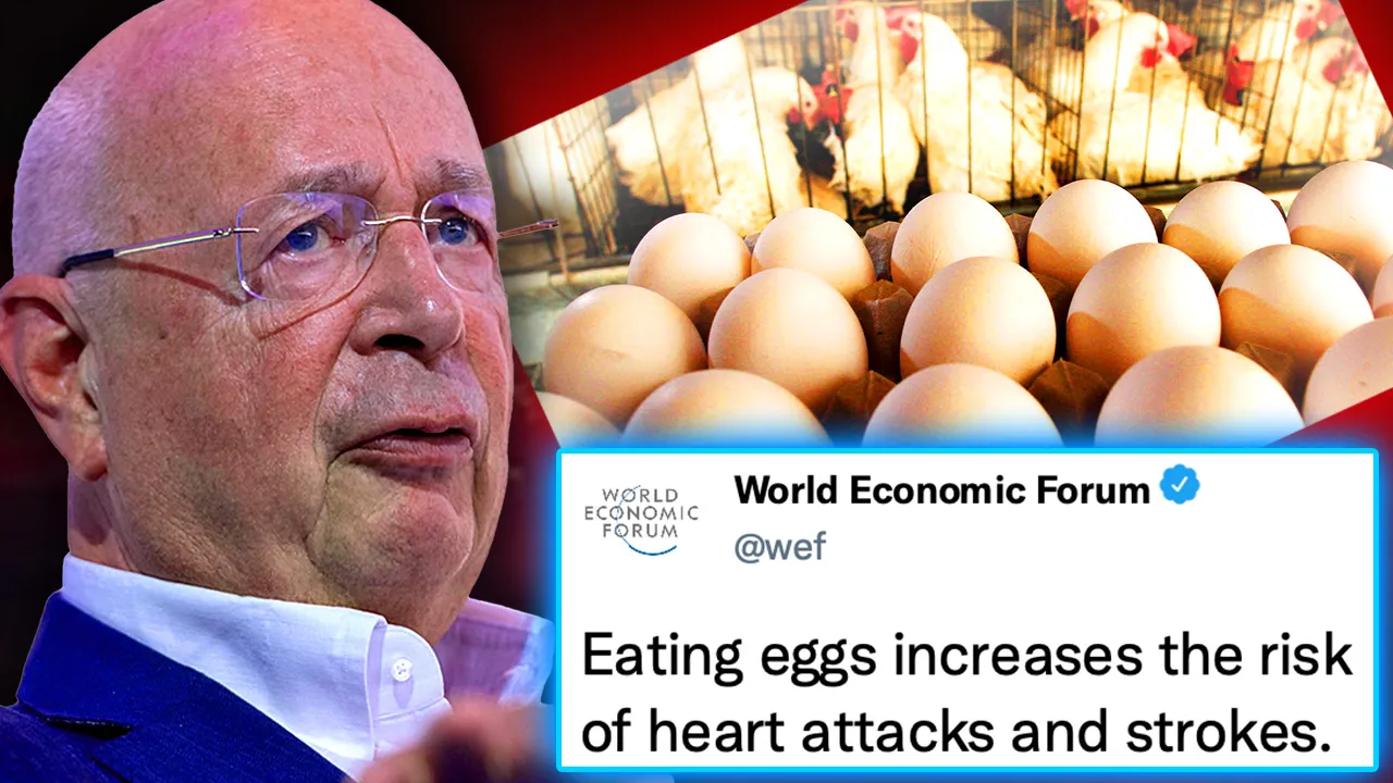 eggs-dangerous-WEF.jpg.webp