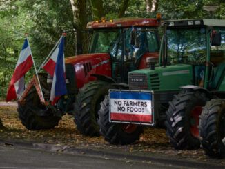 Dutch farmers